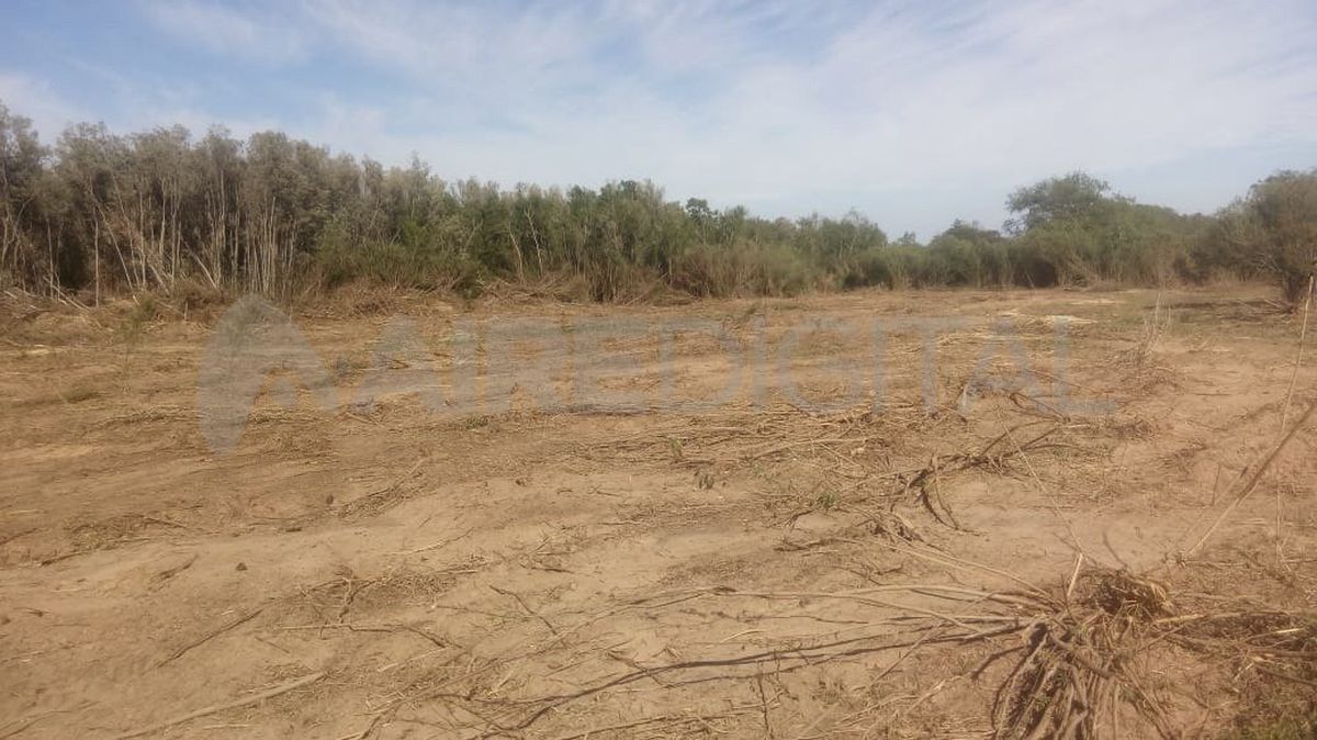 La gente que vive en las islas contó que con las topadoras ya abrieron una calle de 200 metros de largo por 40 metros de ancho.