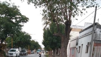 La Municipalidad de Santa Fe recibió 42 reclamos relacionados con las lluvias