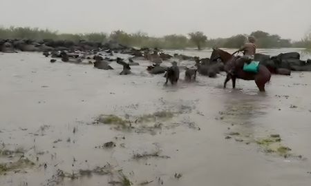 se declaro la emergencia agropecuaria con medidas clave para cuatro departamentos se declaro la emergencia agropecuaria con medidas clave para cuatro departamentos