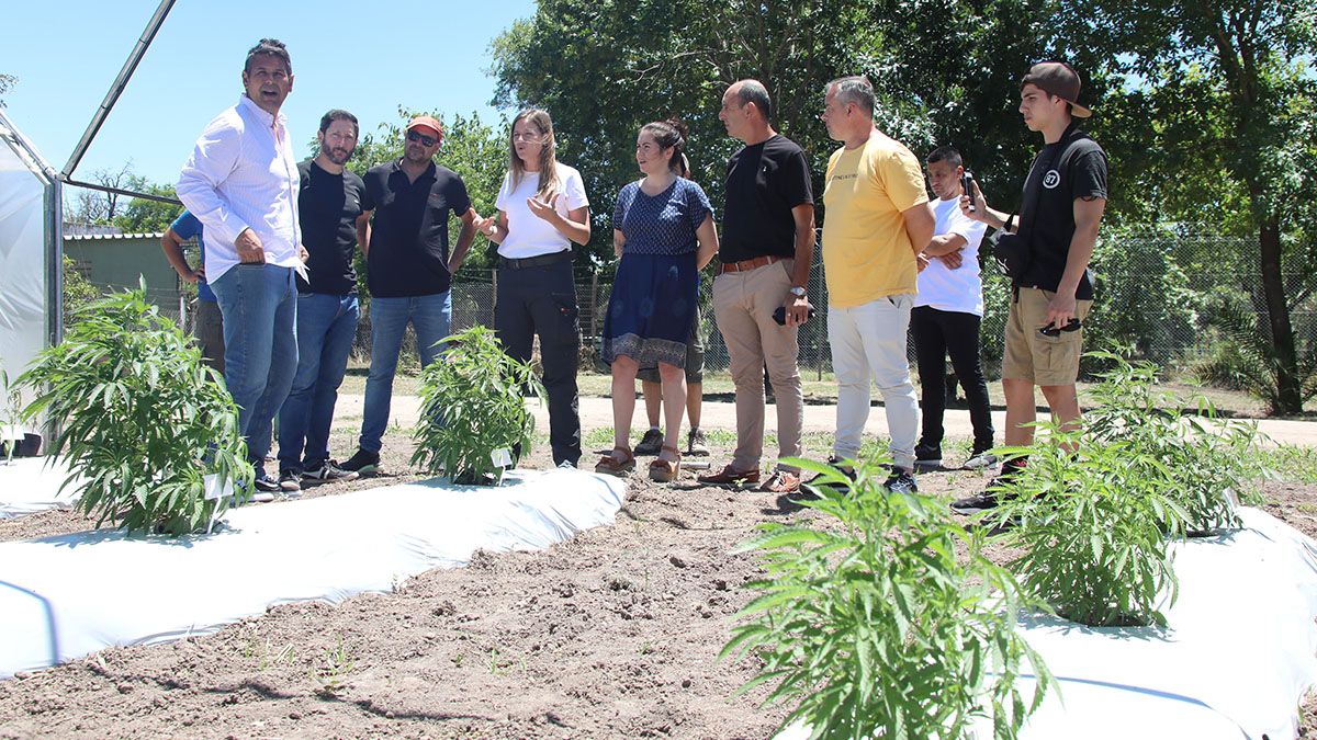 El Centro de Investigación y Desarrollo de Cannabis Medicinal (CIDaM), está ubicado en Ruta provincial N° 2, km 12,5 de la localidad de Monte Vera.