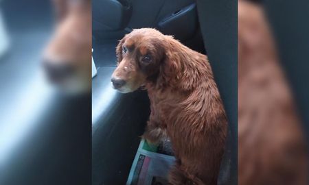 Por mordeduras no se puede tener cinco meses animales encerrados en situación de maltrato”, reclamó Salzman. Por mordeduras no se puede tener cinco meses animales encerrados en situación de maltrato”, reclamó Salzman.
