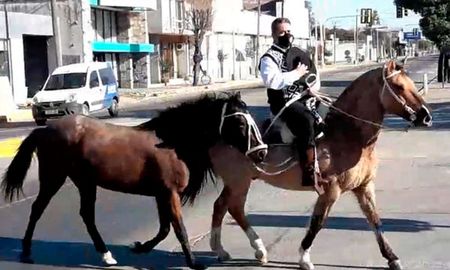Carlos recorrió más de 50 kilómetros a caballo para recibir su título. Carlos recorrió más de 50 kilómetros a caballo para recibir su título.