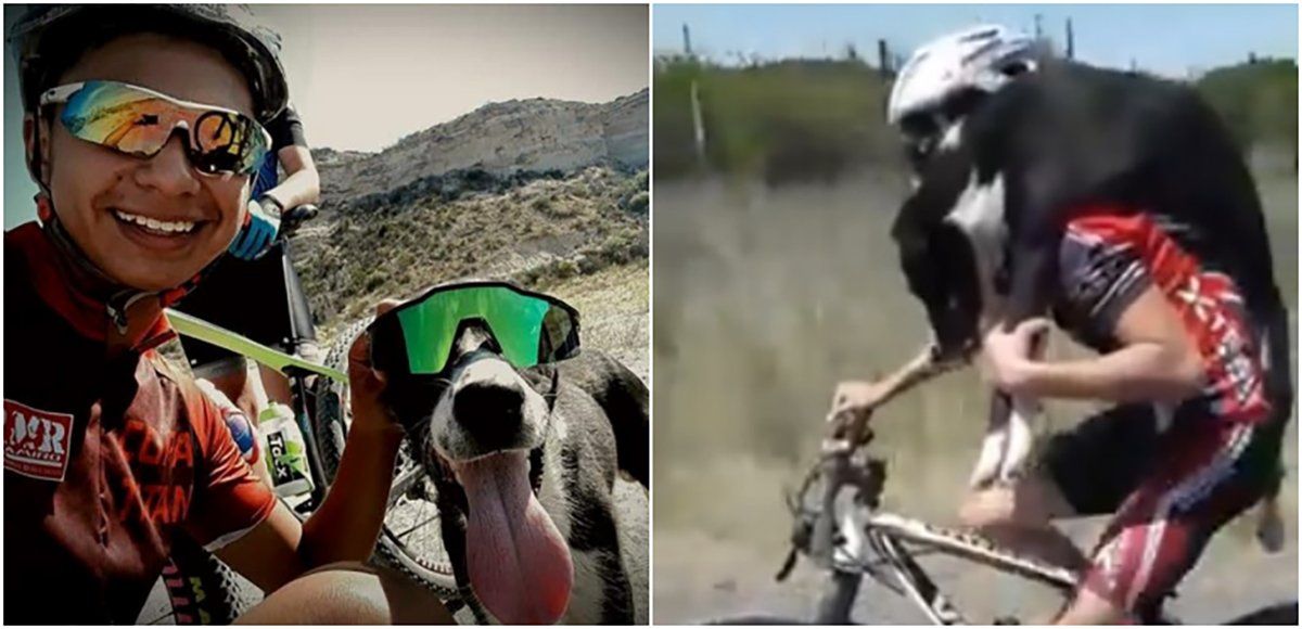 Ciclistas rescataron a un perro en la ruta y lo cargaron en sus espaldas