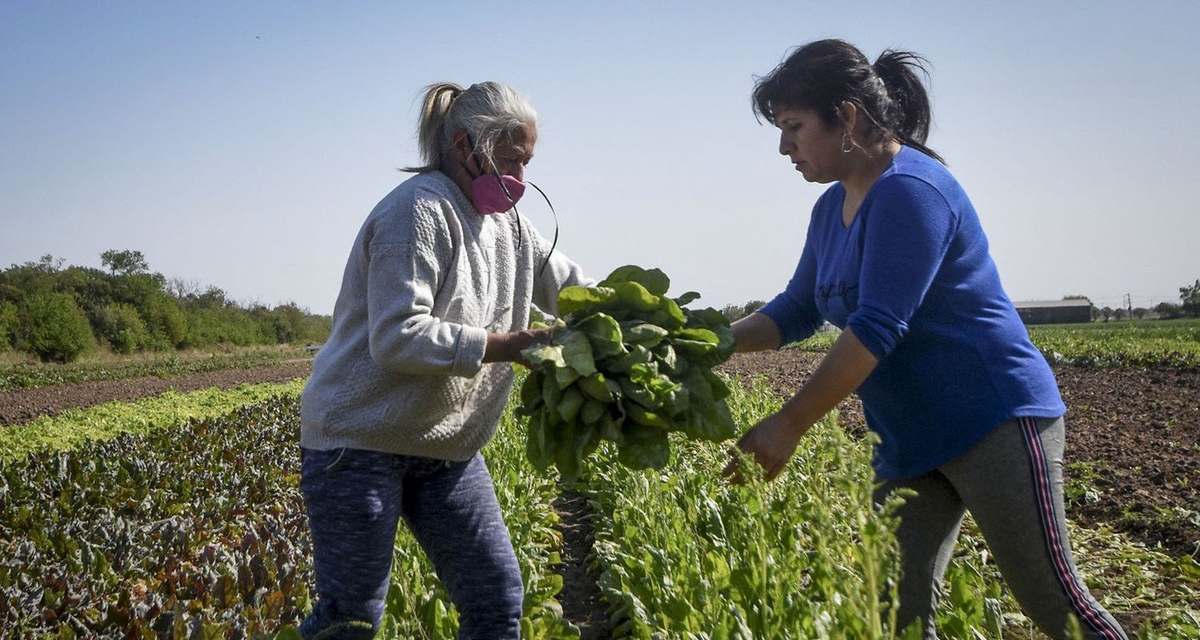 D A Internacional De Las Mujeres Rurales Por Qu Se Conmemora El De Octubre