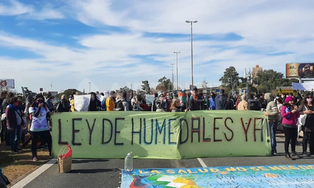 Desde la quema de pastizales en las islas, Rosario se transformó en el centro de los reclamos por la ley de los humedales. Desde la quema de pastizales en las islas, Rosario se transformó en el centro de los reclamos por la ley de los humedales.
