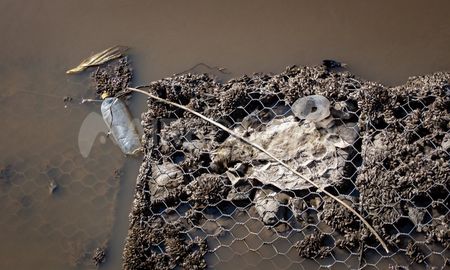 La basura plástica es una de las principales fuentes de contaminación de los ríos de Santa Fe. La basura plástica es una de las principales fuentes de contaminación de los ríos de Santa Fe.
