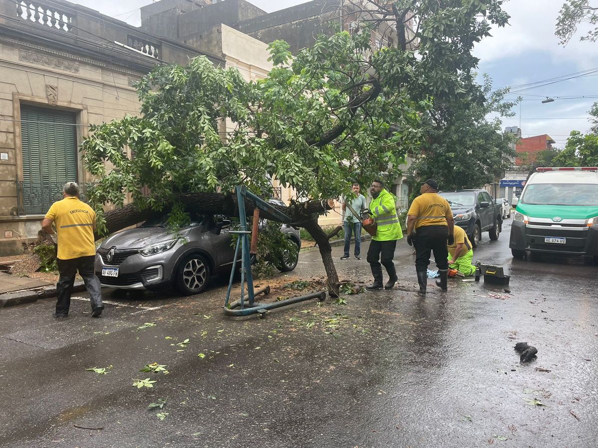 Se cayó un árbol en 1° de mayo entre Santiago del Estero y Obispo Gelabert Se cayó un árbol en 1° de mayo entre Santiago del Estero y Obispo Gelabert