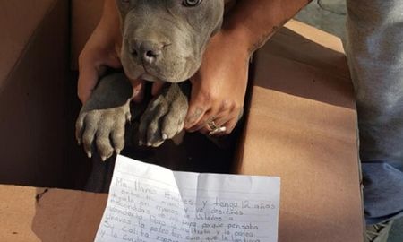 Un niño abandona en un refugio a su cachorro para evitar que su padre lo siguiera maltratando