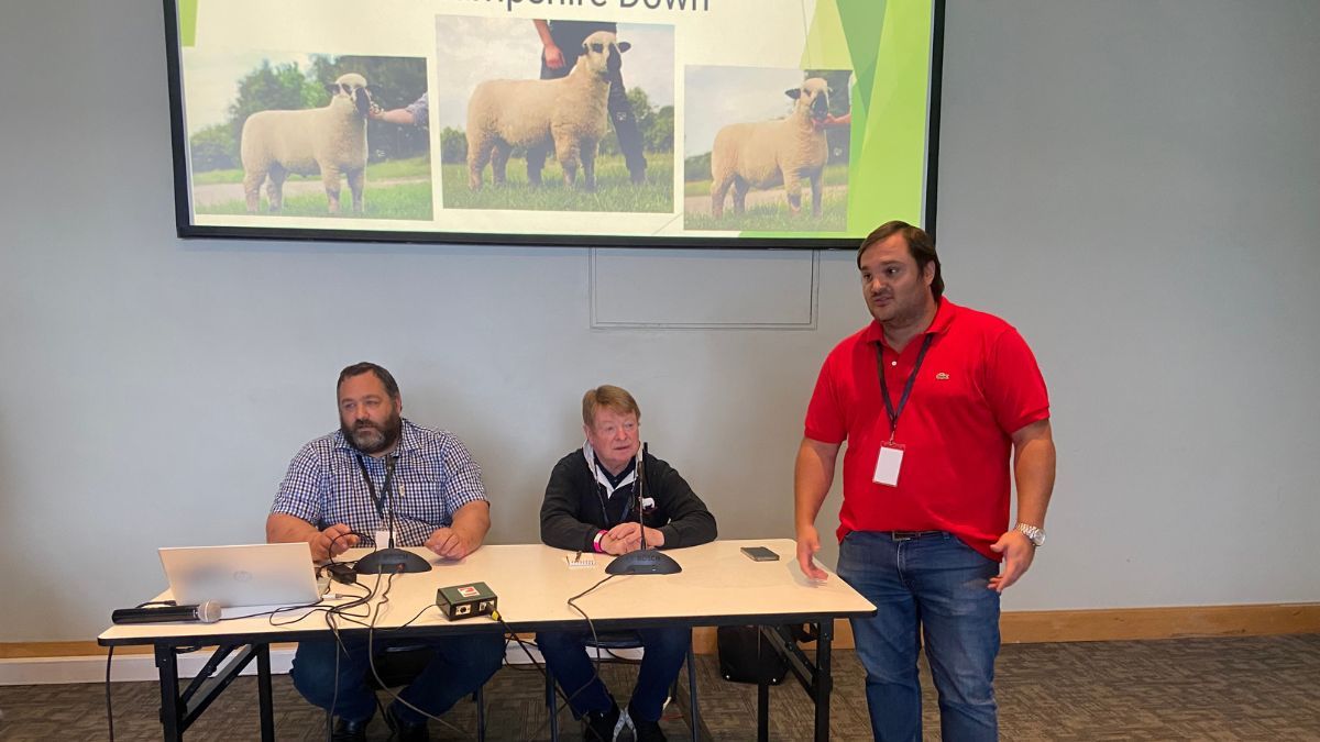 Los jurados internacionales Adrian Rundle y Kevin Mc Carthy, junto al presidente de la Asociación Argentina de Criadores Hampshire Down, Carlos Laborde (de pie).