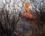 Los incendios forestales afectan diferentes áreas de las provincias de Jujuy, Mendoza, Salta y Córdoba Los incendios forestales afectan diferentes áreas de las provincias de Jujuy, Mendoza, Salta y Córdoba