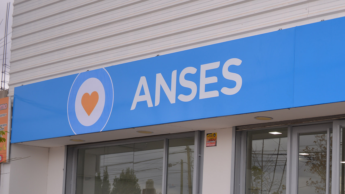 La nueva noticia de ANSES sobre los REQUISITOS para cobrar el bono Nuevo IFE