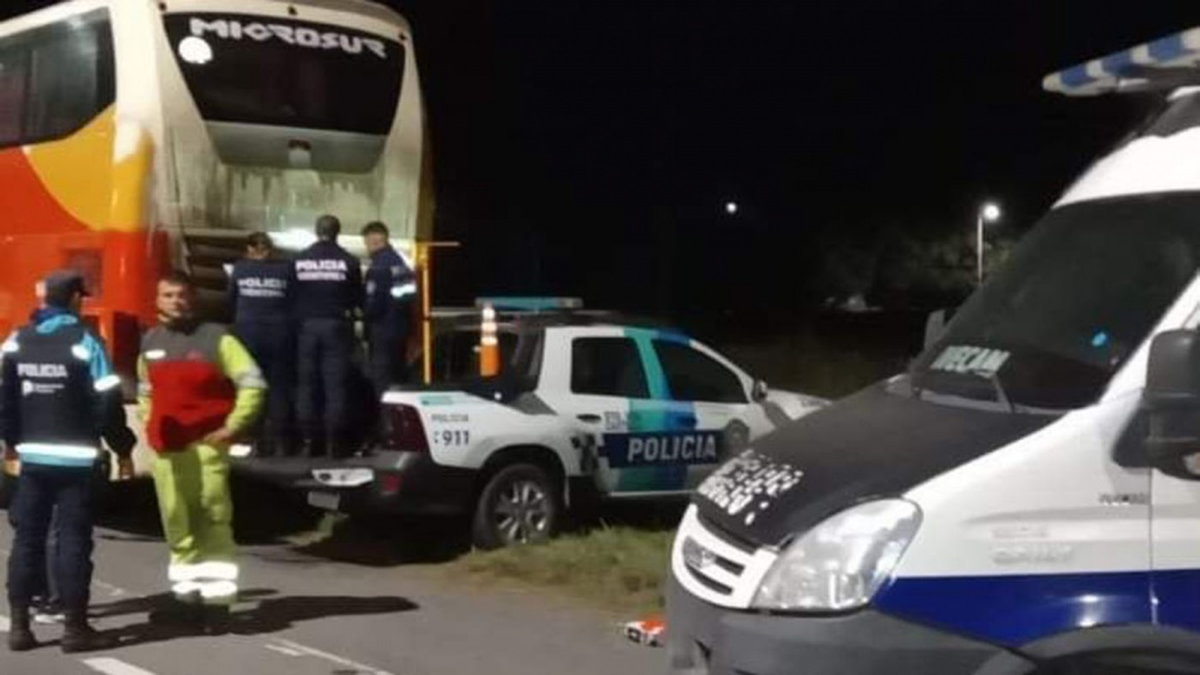Ambos colectivos regresaban a Mar del Plata desde el centro comercial que funciona en el barrio porteño de Flores.