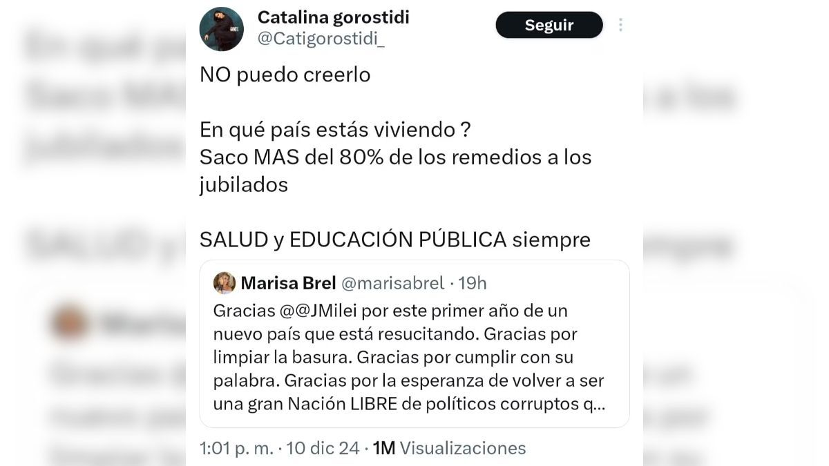 El posteo de Catalina Gorostidi que se hizo viral. El posteo de Catalina Gorostidi que se hizo viral.