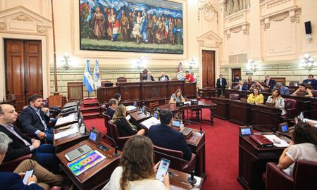 uno por uno: asi votaron los diputados el proyecto de ley de necesidad publica uno por uno: asi votaron los diputados el proyecto de ley de necesidad publica