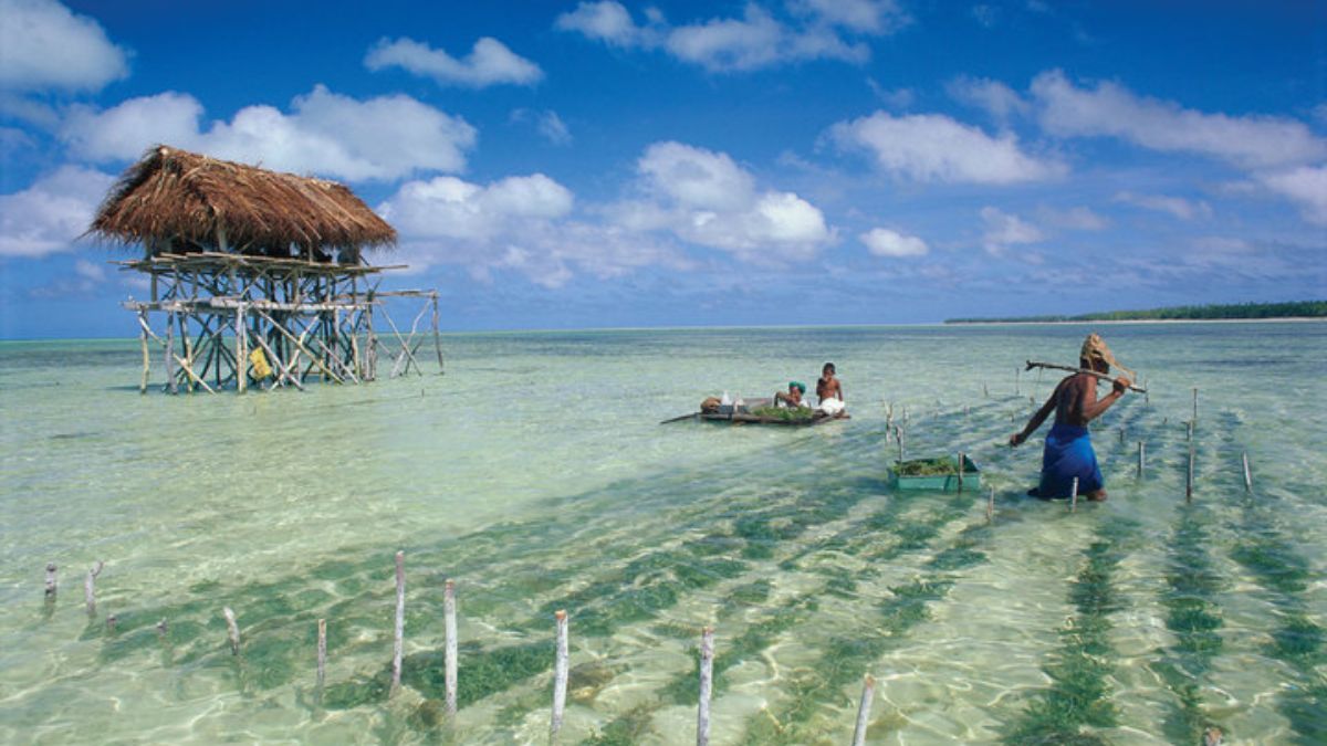 El primer país que celebró la Navidad marca el inicio del 25 de diciembre a nivel mundial.