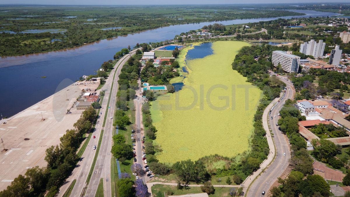 El lago del Parque del Sur está cubierto en un 90% por vegetación.