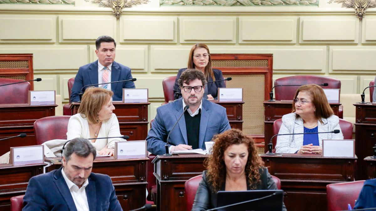 El Defensor del Pueblo