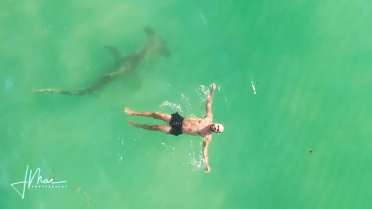 Captura del video registrado en Miami