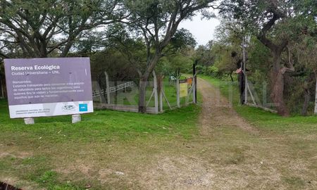 La construcción de un aulario en el límite con la reserva ecológica generó la protesta de un grupo de ambientalistas. Desde la UNL explicaron todos los resguardos utilizados para el desarrollo de la obra. La construcción de un aulario en el límite con la reserva ecológica generó la protesta de un grupo de ambientalistas. Desde la UNL explicaron todos los resguardos utilizados para el desarrollo de la obra.