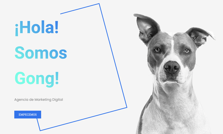 Agencia Gong! lleva adelante campañas publicitarias online. Agencia Gong! lleva adelante campañas publicitarias online.