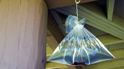 Qué significan las bolsas con agua que se cuelgan en las casas de Perú