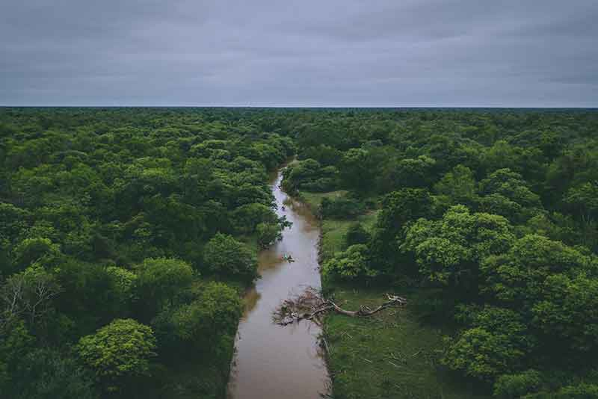 Parque Nacional El Impenetrable - Chaco Parque Nacional El Impenetrable - Chaco