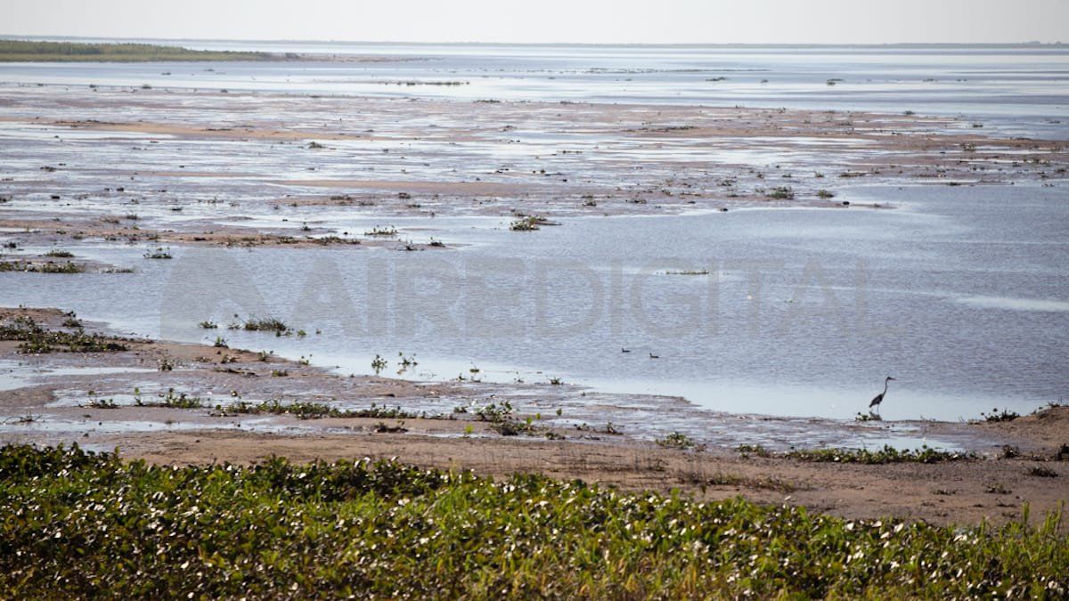El lecho de la laguna vuelve a emerger en la cada vez más ancha costa de la laguna Setúbal en la costanera de Santa Fe.