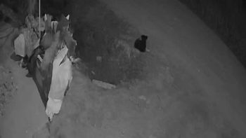 Imputaron al asesino de 