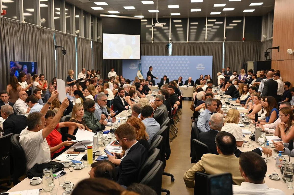 El plenario de comisiones de la Cámara baja.