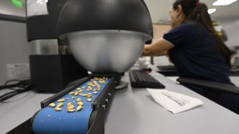 la bolsa de rosario amplia sus laboratorios, enfocados en calidad e inocuidad alimentaria
