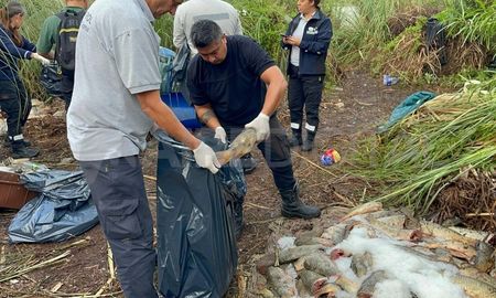 Circunvalación Oeste: denuncia y decomiso de pescado en mal estado Circunvalación Oeste: denuncia y decomiso de pescado en mal estado