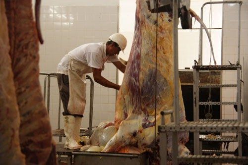 Mañana paran los trabajadores de frigoríficos