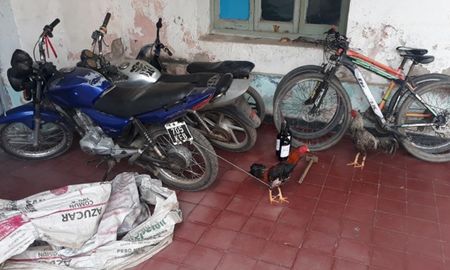 La policía de Tucumán secuestró tres gallos y vino al desarticular una riña clandestina. La policía de Tucumán secuestró tres gallos y vino al desarticular una riña clandestina.