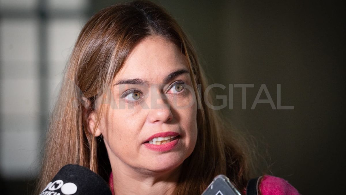 La abogada querellante Carolina Walker present&oacute; una denuncia penal contra las integrantes del Equipo Interdisciplinario del Poder Judicial