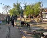 Allanamientos en un asentamiento del barrio Schneider Allanamientos en un asentamiento del barrio Schneider