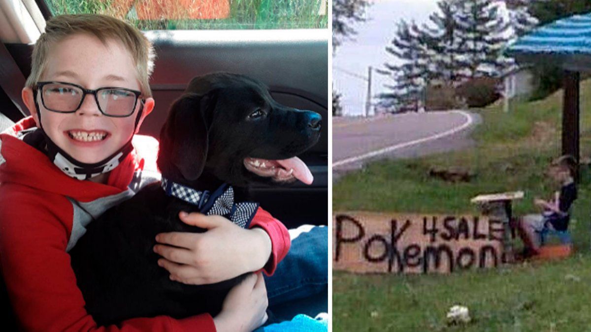 La causa fue un éxito y el sobrante será utilizado para curar a otros animales que padecen la misma enfermedad.&nbsp;