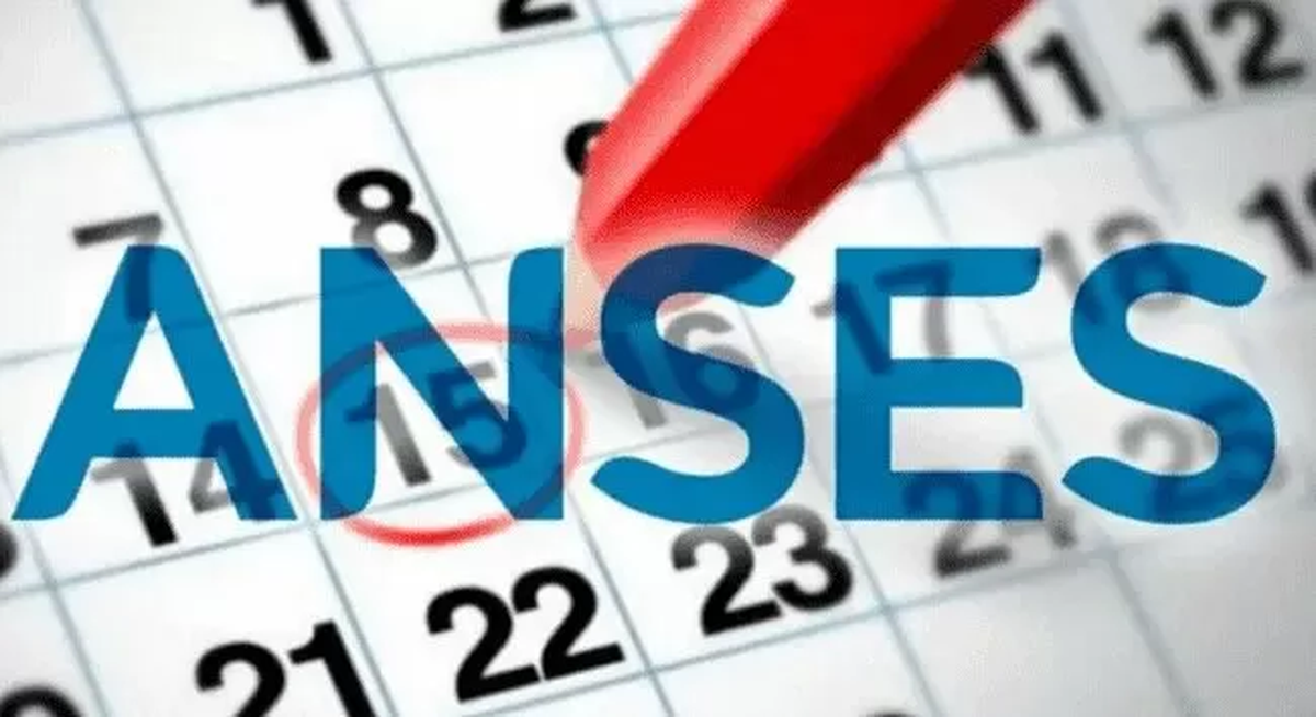 La Administración Nacional de la Seguridad Social (Anses) dio a conocer el calendario de pagos de las prestaciones que se abonarán durante octubre de 2022.