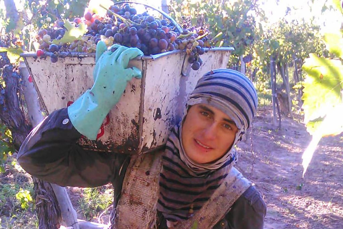 El día que se graduó de ingeniero su madre lo sorprendió en medio del evento entregándole la ganchera y la tijera que usaba para trabajar en la cosecha de uvas. 