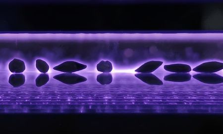 plasma no termico: una tecnologia nacida en el conicet que busca cambiar el tratamiento de semillas plasma no termico: una tecnologia nacida en el conicet que busca cambiar el tratamiento de semillas