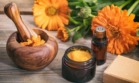 calendula: sus propiedades y beneficios para la salud calendula: sus propiedades y beneficios para la salud