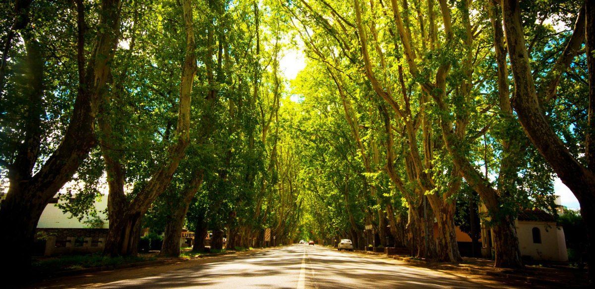 Cuáles son los mejores lugares para visitar en Córdoba