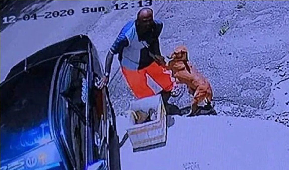 Desolador: una perra abraza a su due&ntilde;o antes de ser abandonada