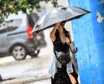 Se esperan bancos de niebla matinales y lluvias persistentes de cara al fin de semana. Se esperan bancos de niebla matinales y lluvias persistentes de cara al fin de semana.
