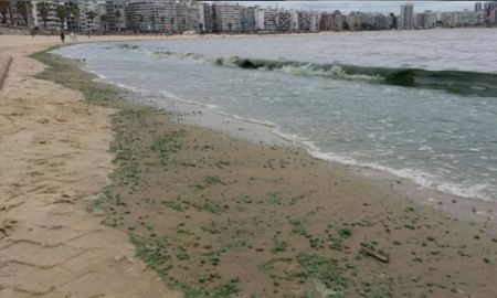 El gobierno de la Provincia de Buenos Aires emitió un “alerta naranja” por la presencia de cianobacterias en la costa sur del Río de la Plata El gobierno de la Provincia de Buenos Aires emitió un “alerta naranja” por la presencia de cianobacterias en la costa sur del Río de la Plata