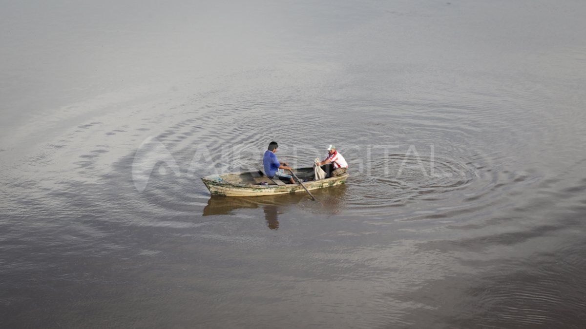 Denuncian grave depredación de peces en la costa santafesina