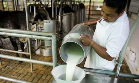 Desde el gobierno advierten que las ventajas impositivas para la industria láctea, deberán generar mejoras también en el sector tambero. Desde el gobierno advierten que las ventajas impositivas para la industria láctea, deberán generar mejoras también en el sector tambero.