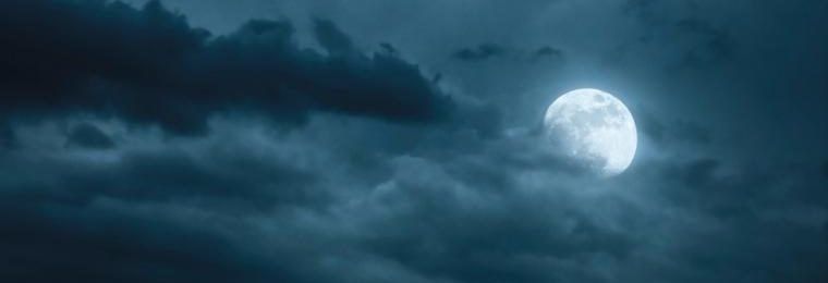 luna e1558883652858.jpg