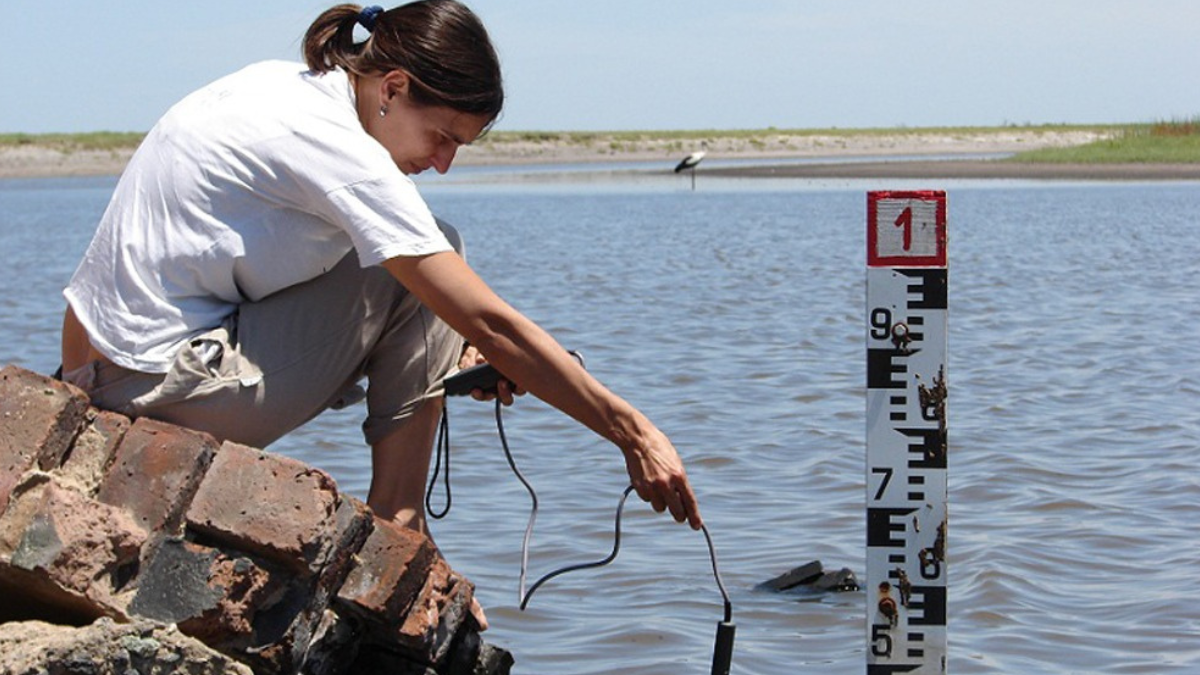 Los investigadores se abocan al estudio del río Paraná y su cuenca y, además, proyectar su trabajo a todos los medios fluviales y lacustres de Argentina.