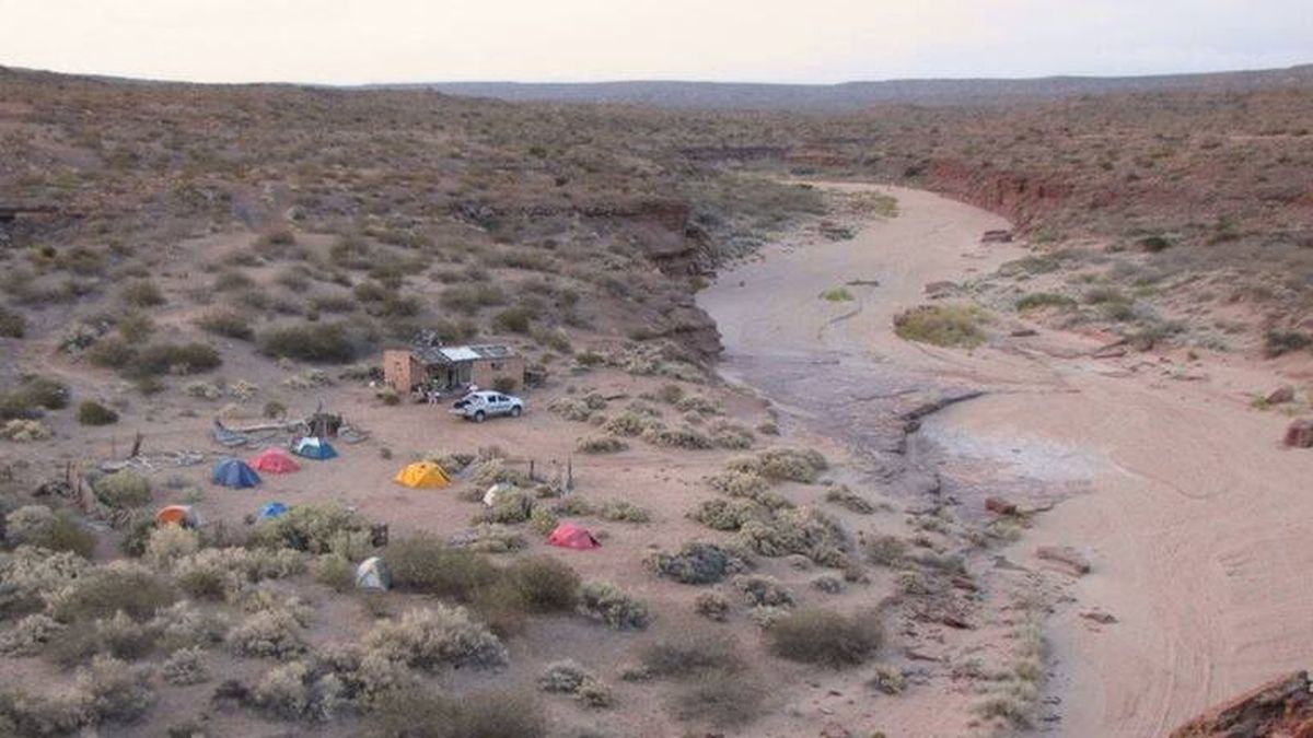 Argentinos descubrieron una nueva especie de dinosaurio. Argentinos descubrieron una nueva especie de dinosaurio.