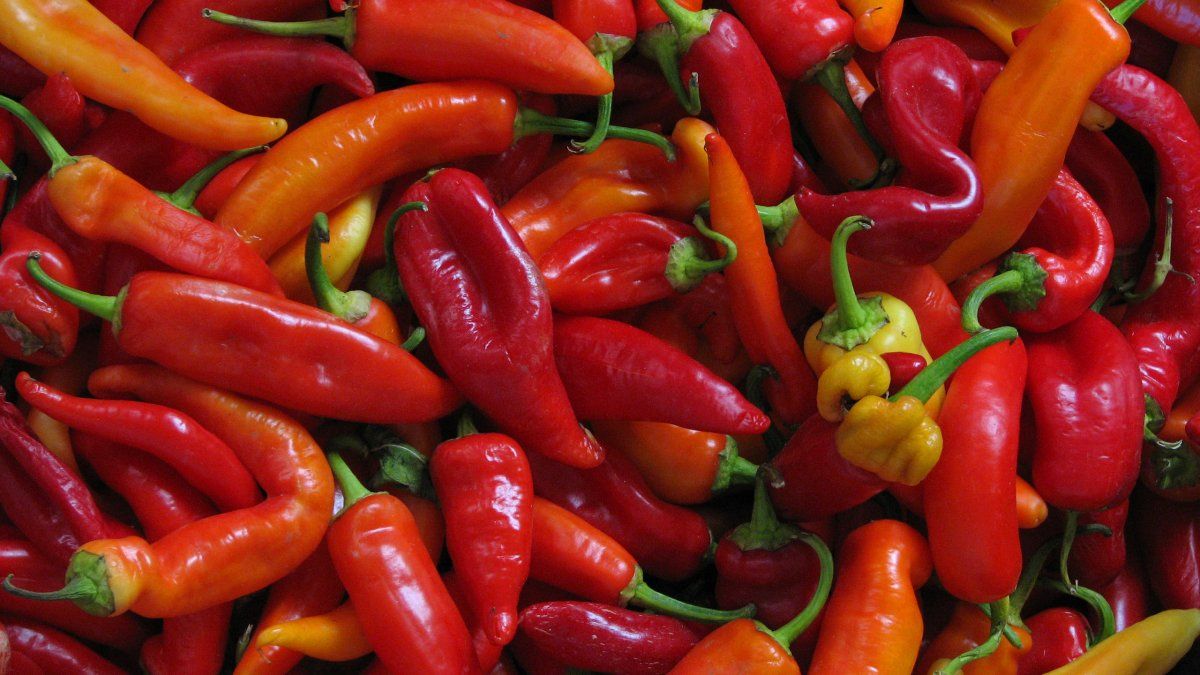 ¿Te gusta la comida picante? El ají picante sería bueno para evitar accidentes cerebrovasculares y ataques cardíacos